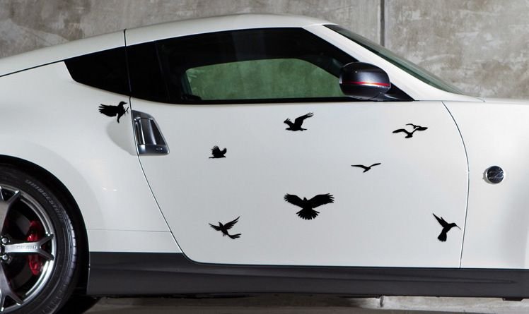 Creative Personalized Car Black White Bird Cover Scratch Sticker